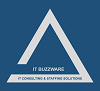 IT BUZZWARE
